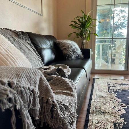 Home Gramado- 400 Metros Da Rua Coberta Eksteriør billede